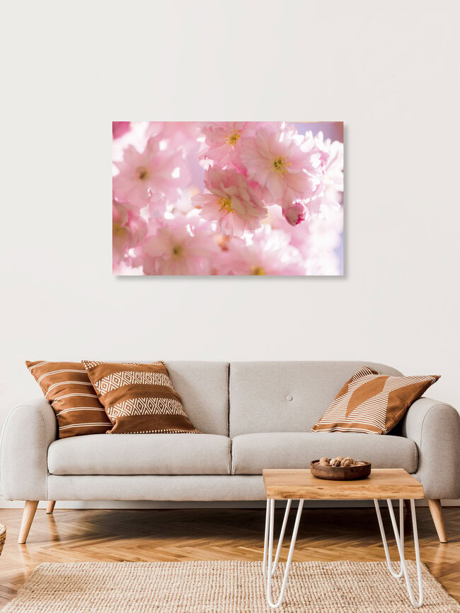 Kirschblüten Nahaufnahme im Gegenlicht, Deutschland – Fotokunst von Nadja Jacke als Poster oder Acrylglasbild