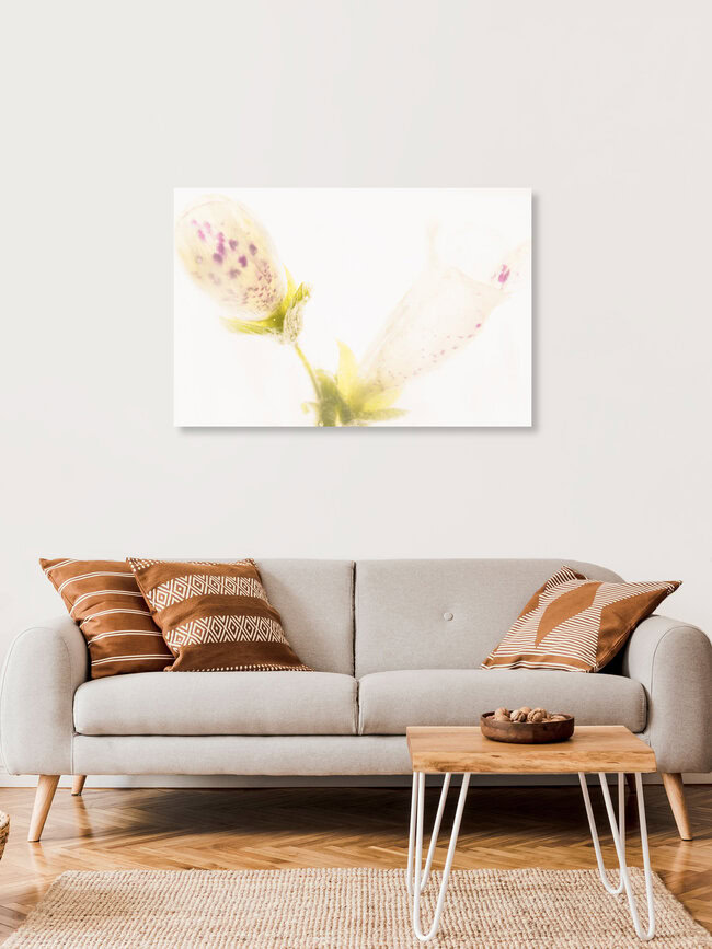 Fingerhut-Blüten in Eis, Deutschland – Fotokunst von Marc Heiligenstein als Poster oder Acrylglasbild