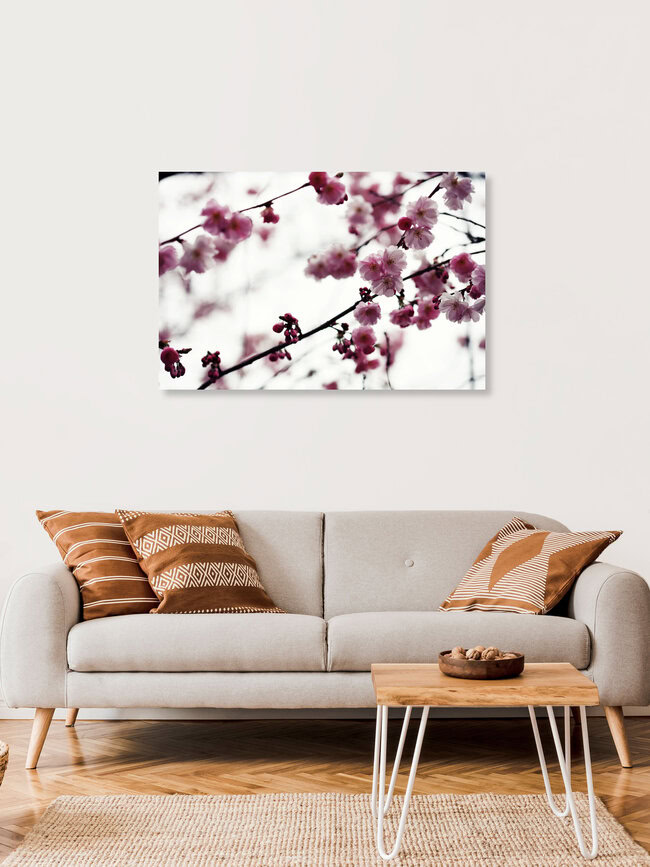 Spring branches, Germany – wall art by Manuela Deigert as Poster or Acrylic Glass Print