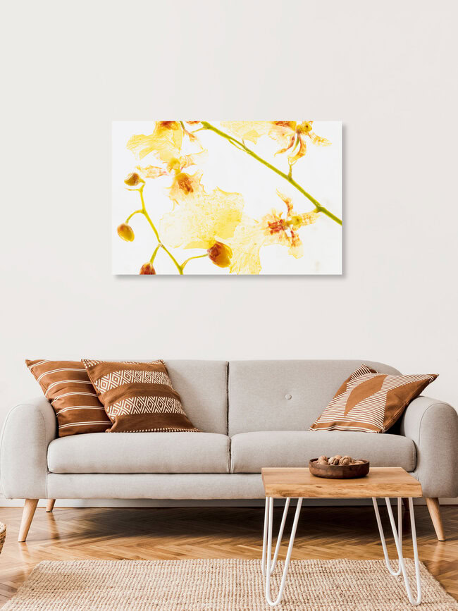 Gelb-Rote Oncidium in Eis, Deutschland – Fotokunst von Marc Heiligenstein als Poster oder Acrylglasbild
