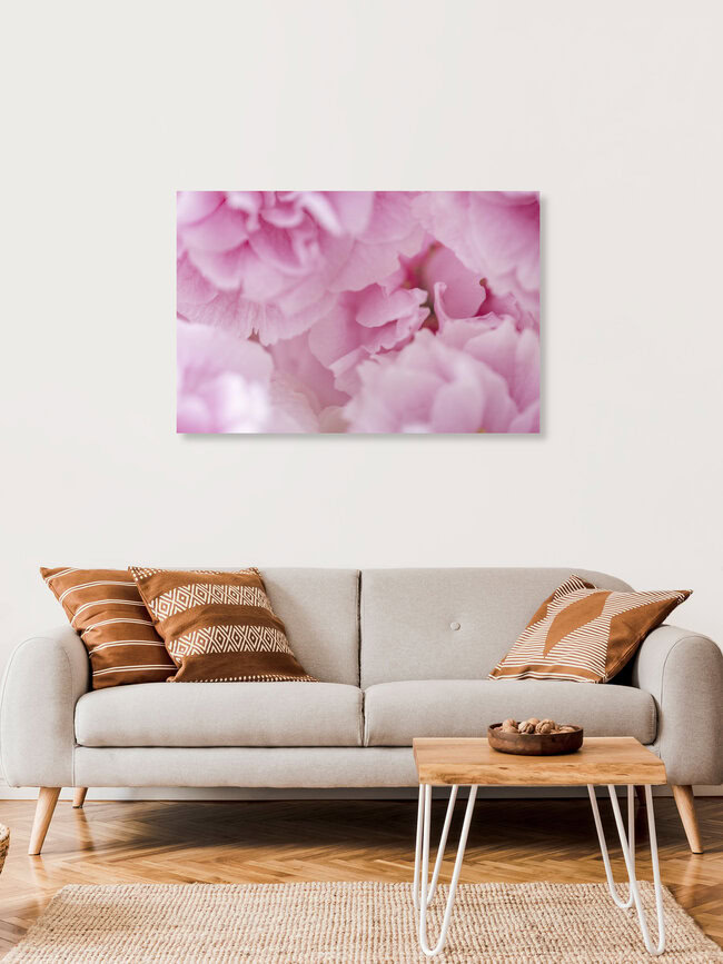 Sea of Cherry Blossoms, Germany – wall art by Nadja Jacke as Poster or Acrylic Glass Print