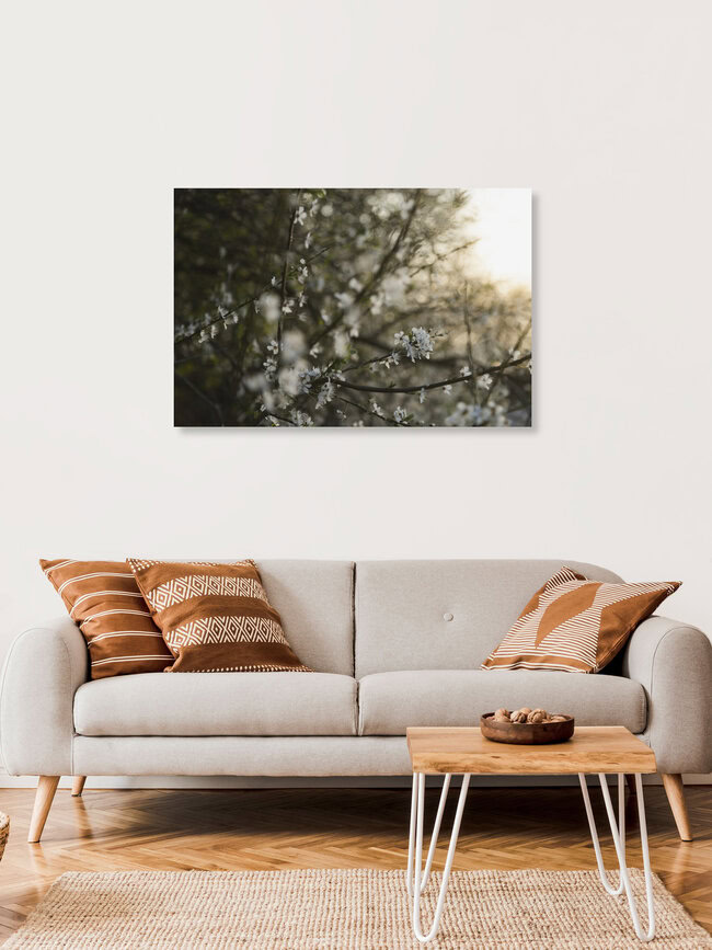 Blackthorn Blossoms at Sunset, Germany – wall art by Nadja Jacke as Poster or Acrylic Glass Print