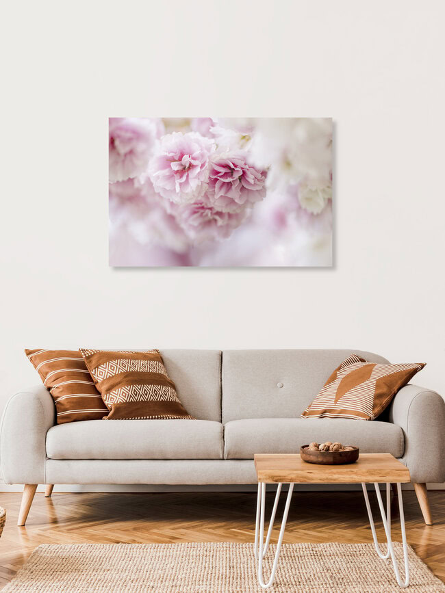 Delicate Cluster of Cherry Blossoms, Germany – wall art by Nadja Jacke as Poster or Acrylic Glass Print