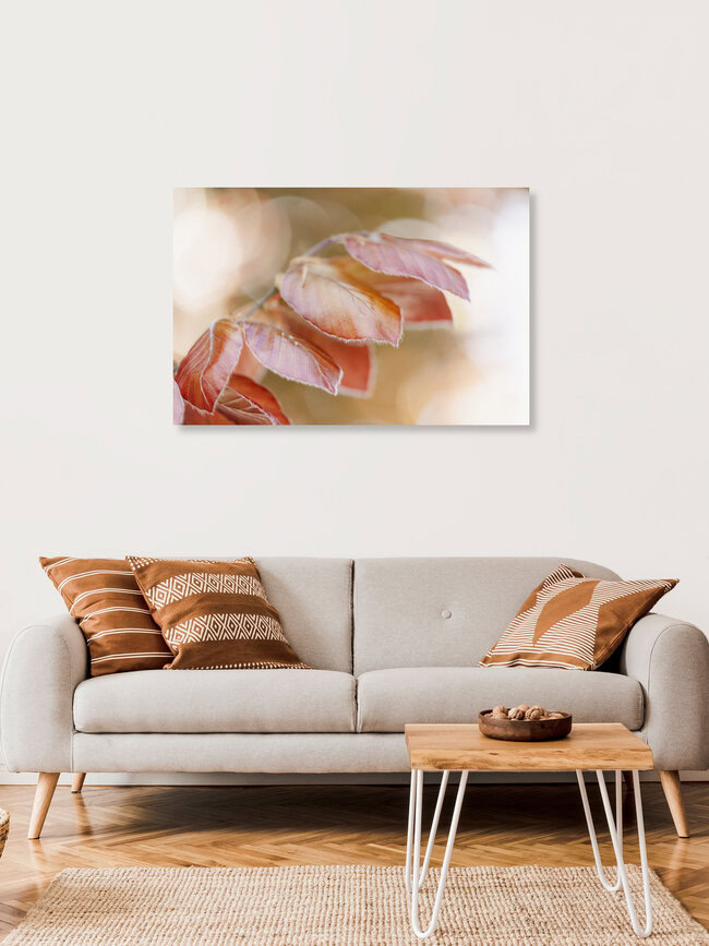 Copper Beech Leaves in Backlight, Germany – wall art by Nadja Jacke as Poster or Acrylic Glass Print