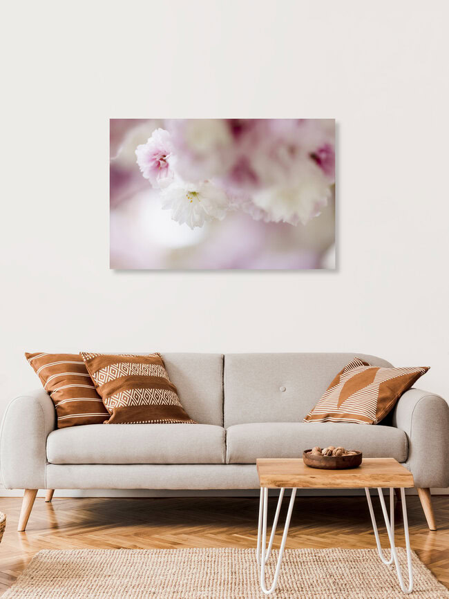 White Cherry Blossom with Pastel Background, Germany – wall art by Nadja Jacke as Poster or Acrylic Glass Print