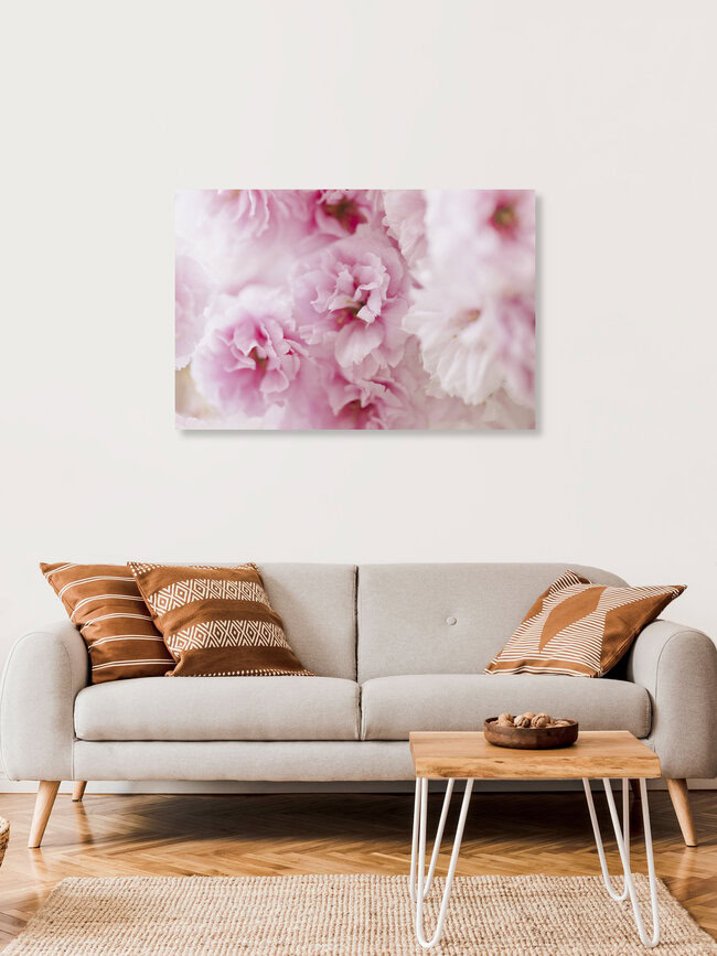 Pink Cherry Blossoms in Soft Light, Germany – wall art by Nadja Jacke as Poster or Acrylic Glass Print