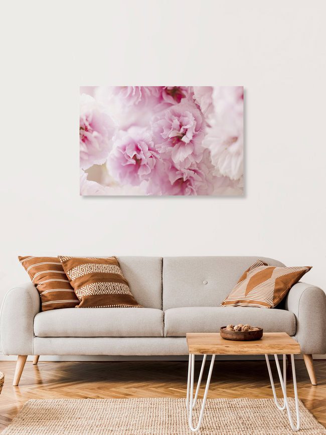 Kirschblüten in weicher Unschärfe, Deutschland – Fotokunst von Nadja Jacke als Poster oder Acrylglasbild
