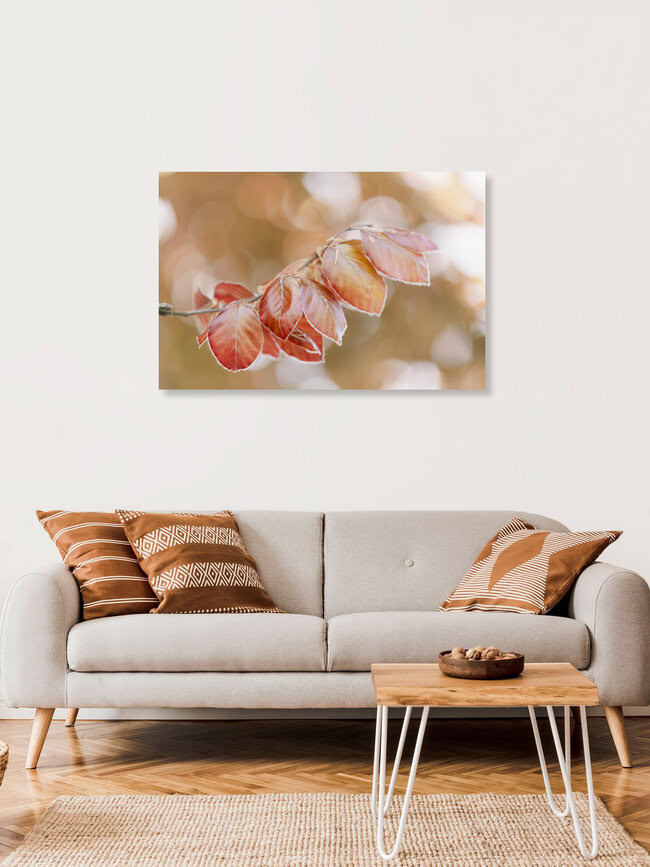 Young Copper Beech Leaves in Spring, Germany – wall art by Nadja Jacke as Poster or Acrylic Glass Print