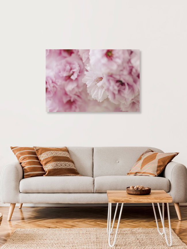 Close-up of Cherry Blossoms, Germany – wall art by Nadja Jacke as Poster or Acrylic Glass Print