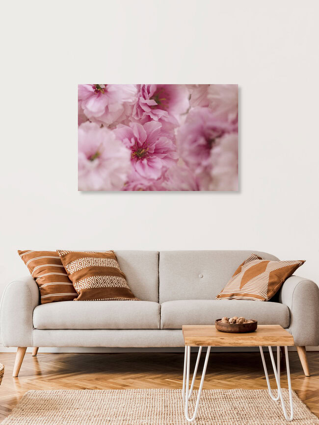 Detailed View of Double Cherry Blossoms, Germany – wall art by Nadja Jacke as Poster or Acrylic Glass Print