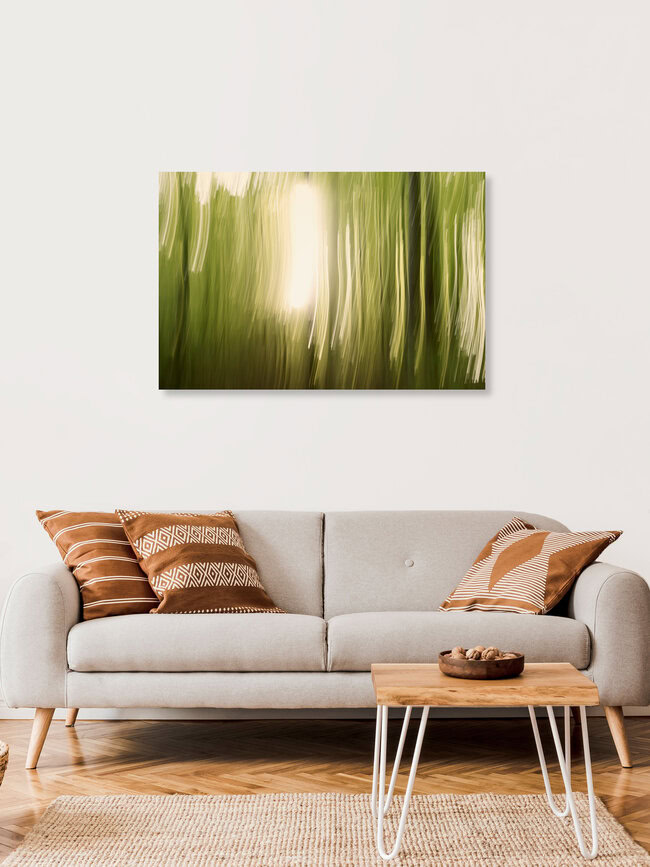 Sunlight Between the Trees, Germany – wall art by Nadja Jacke as Poster or Acrylic Glass Print