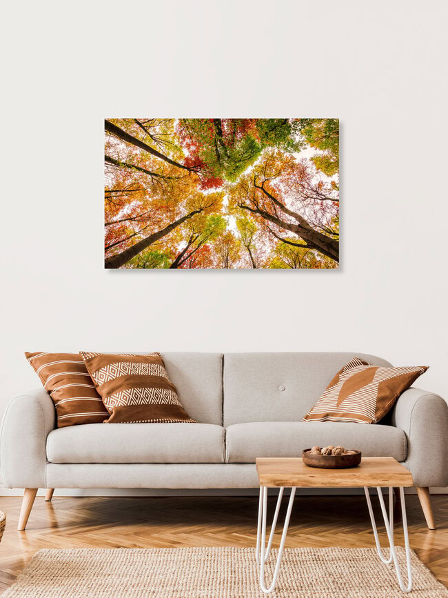 Die Farben des Herbstes, Germany – wall art by Heiko Gerlicher as Poster or Acrylic Glass Print