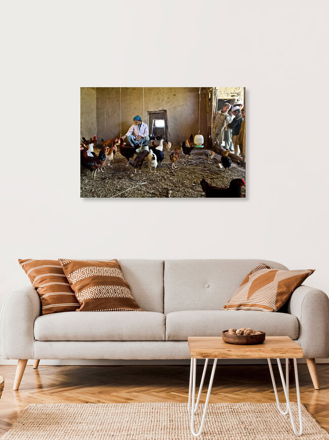 Poultry , Afghanistan – Fotokunst von Rada Akbar als Poster oder Acrylglasbild