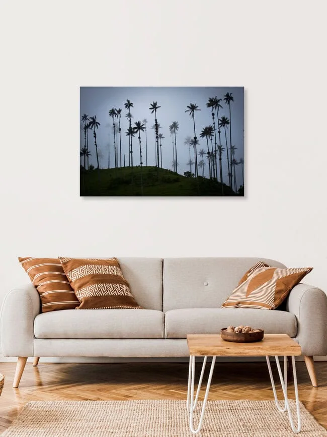Quindio wax palms, Colombia – wall art by Jonas Schleske as Poster or Acrylic Glass Print