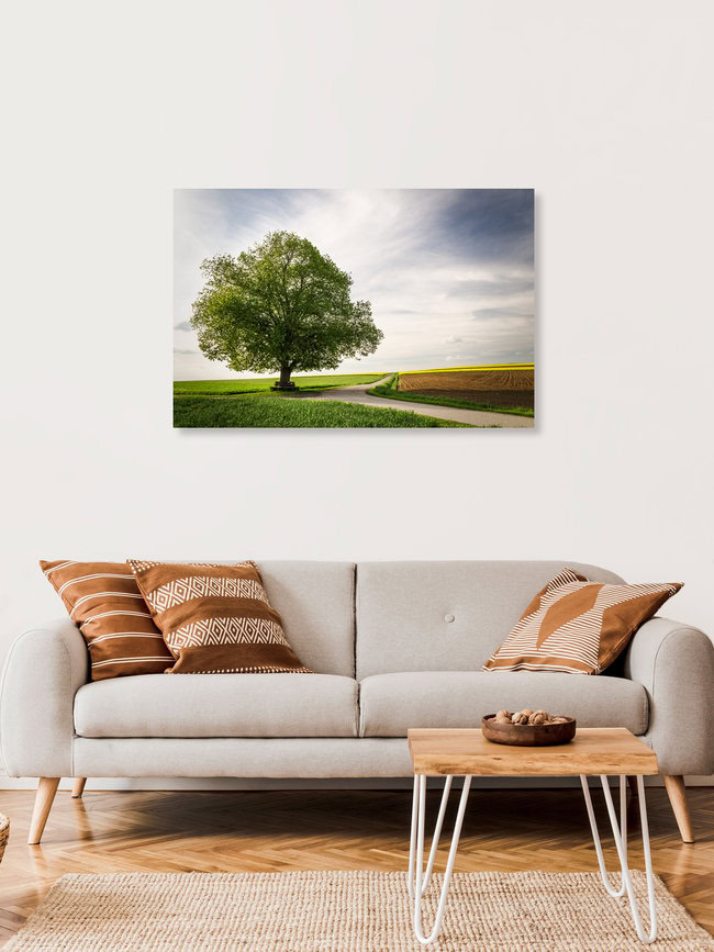 Solitär # 1, Deutschland – Fotokunst von Heiko Gerlicher als Poster oder Acrylglasbild