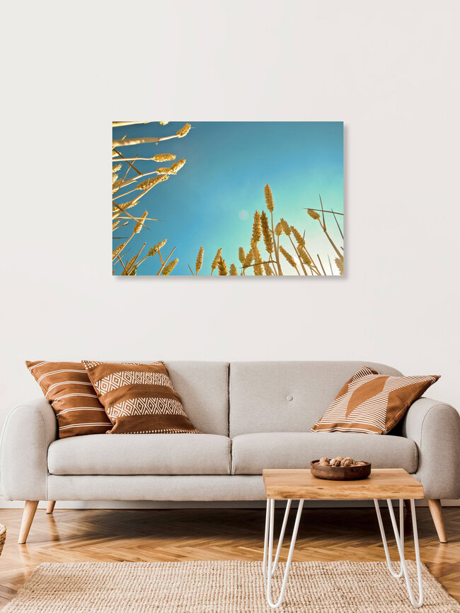 corn field, Germany – wall art by Martin Bliedung as Poster or Acrylic Glass Print