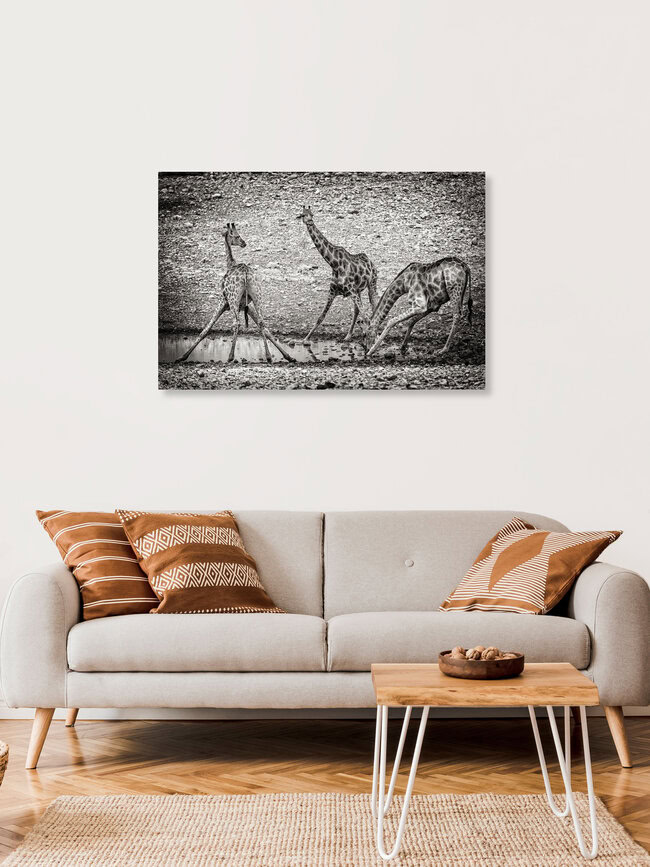 giraffe at waterhole A, Namibia – Fotokunst von Franzel Drepper als Poster oder Acrylglasbild