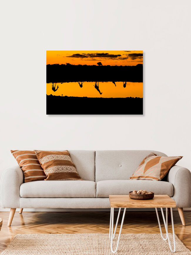 Giraffen am Wasser – Spiegelungen am Abend, Namibia – Fotokunst von Ralf Germer als Poster oder Acrylglasbild