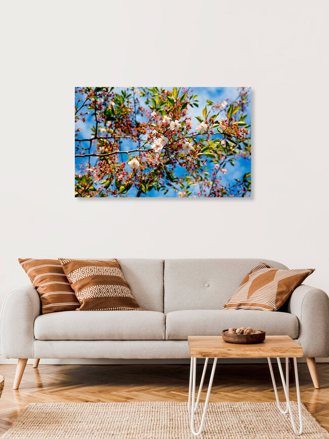 Springtime, Sweden – wall art by Torsten Muehlbacher as Poster or Acrylic Glass Print