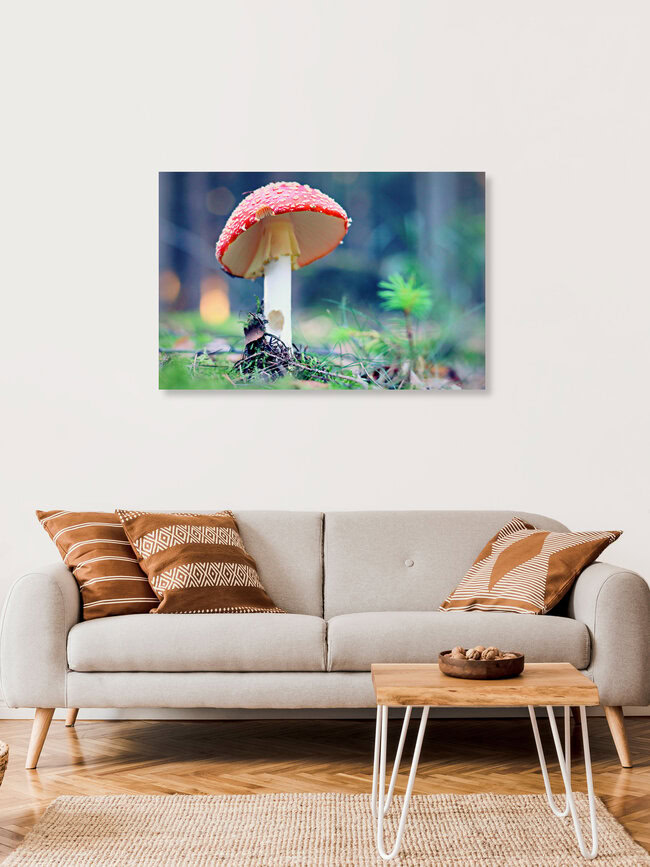 red riding hood, Deutschland – Fotokunst von Steffi Fleischer als Poster oder Acrylglasbild