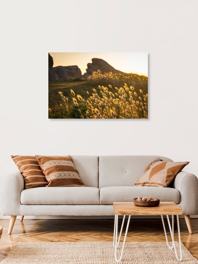 Gräser im Abendlicht, Frankreich – Fotokunst von Monika Schwager als Poster oder Acrylglasbild