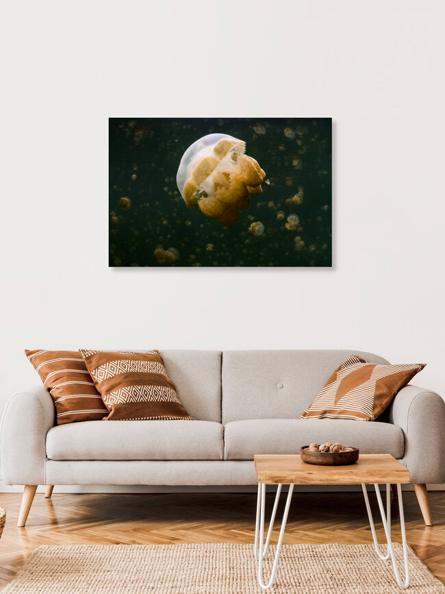 Jellyfish Lake, Mikronesien – Fotokunst von Boris Buschardt als Poster oder Acrylglasbild
