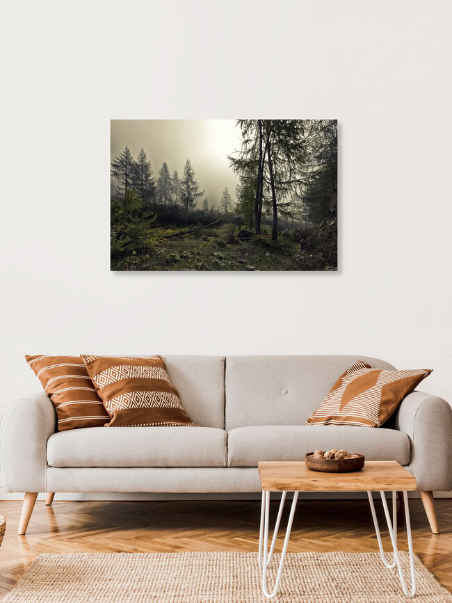 A mystical forest with fog and shining behind trees, Österreich – Fotokunst von Markus Schieder als Poster oder Acrylglasbild