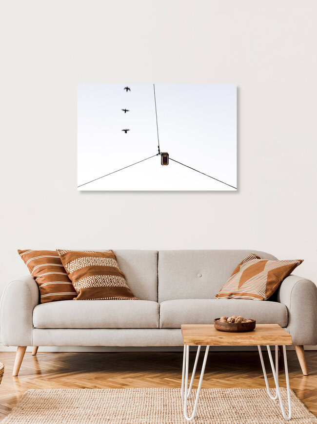 Three birds, no stone, Germany – wall art by Markus Green as Poster or Acrylic Glass Print