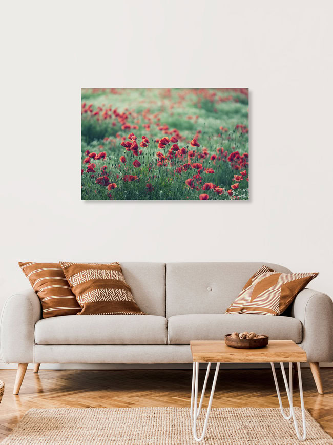 Mohnblumenfeld im Sommer, Deutschland – Fotokunst von Nadja Jacke als Poster oder Acrylglasbild