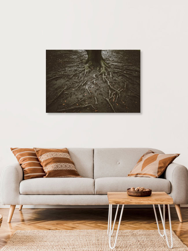 Starke verzweigte Wurzeln, Germany – wall art by Nadja Jacke as Poster or Acrylic Glass Print