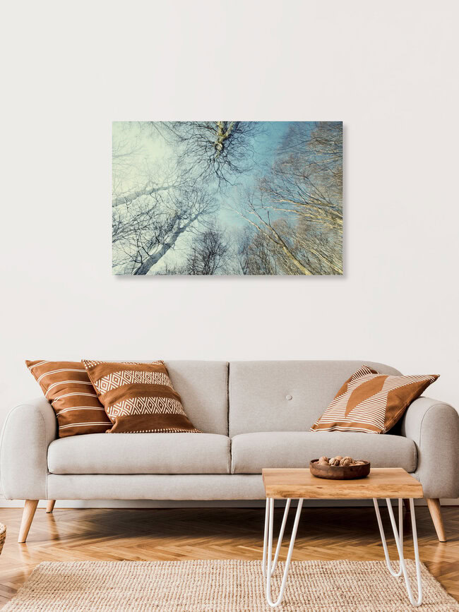 Winterlicher blauer Himmel im Teutoburger Wald, Deutschland – Fotokunst von Nadja Jacke als Poster oder Acrylglasbild