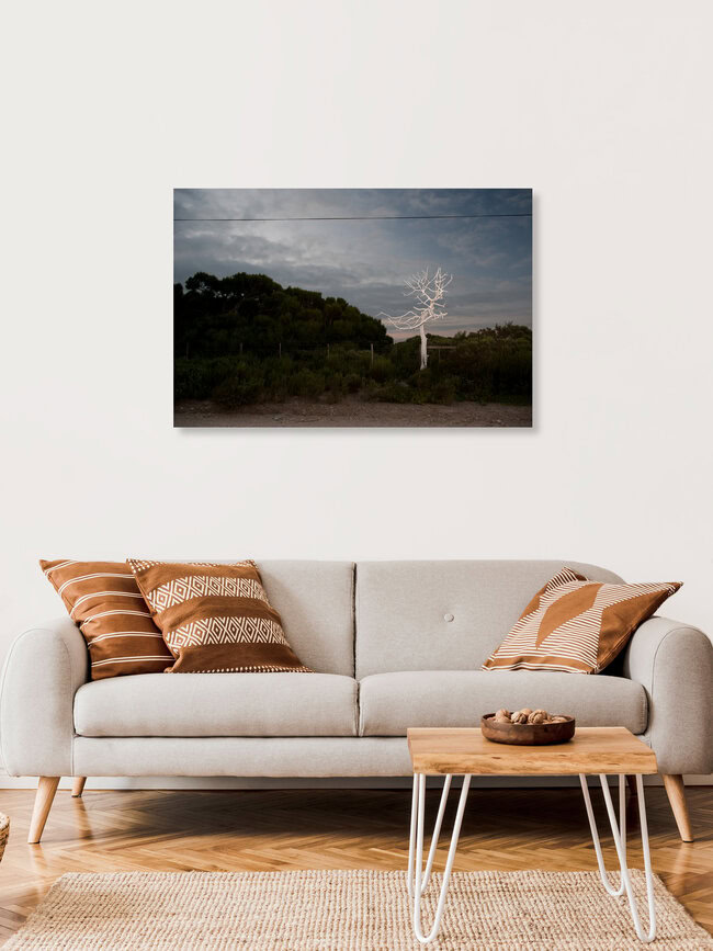 Roadside, South Africa – wall art by Jac Kritzinger as Poster or Acrylic Glass Print