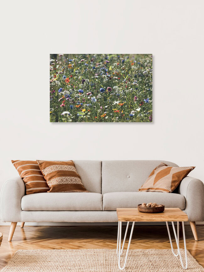 Wiese voll farbenfroher Sommerblumen, Deutschland – Fotokunst von Nadja Jacke als Poster oder Acrylglasbild