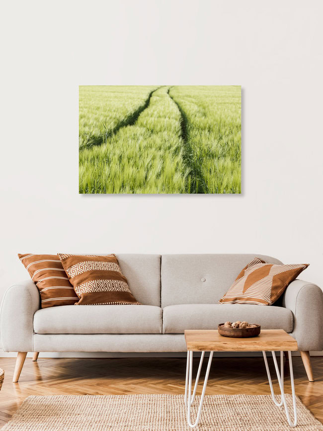 Getreidefeld, Deutschland – Fotokunst von Robert Vogt als Poster oder Acrylglasbild