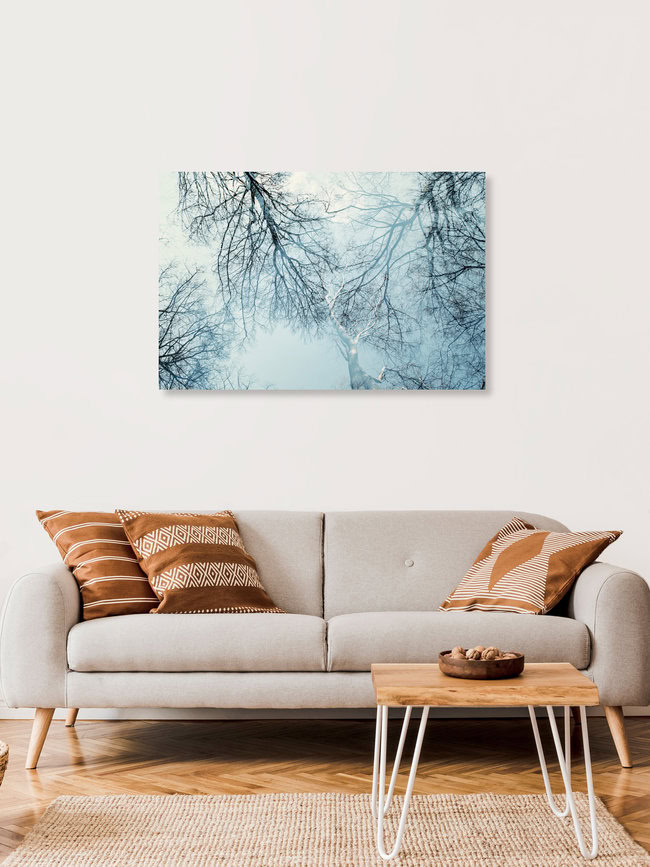 Baumkronen und winterlicher blauer Himmel, Deutschland – Fotokunst von Nadja Jacke als Poster oder Acrylglasbild