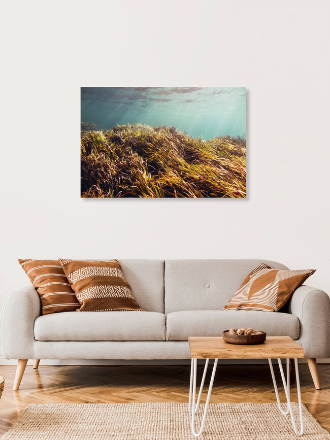 Unterwasser-Landschaft im Sonnenlicht, Spanien – Fotokunst von Nadja Jacke als Poster oder Acrylglasbild