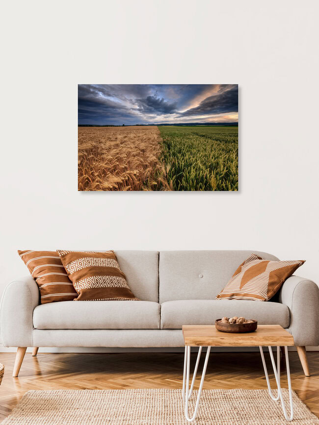 Zwei Felder, Deutschland – Fotokunst von Oliver Henze als Poster oder Acrylglasbild