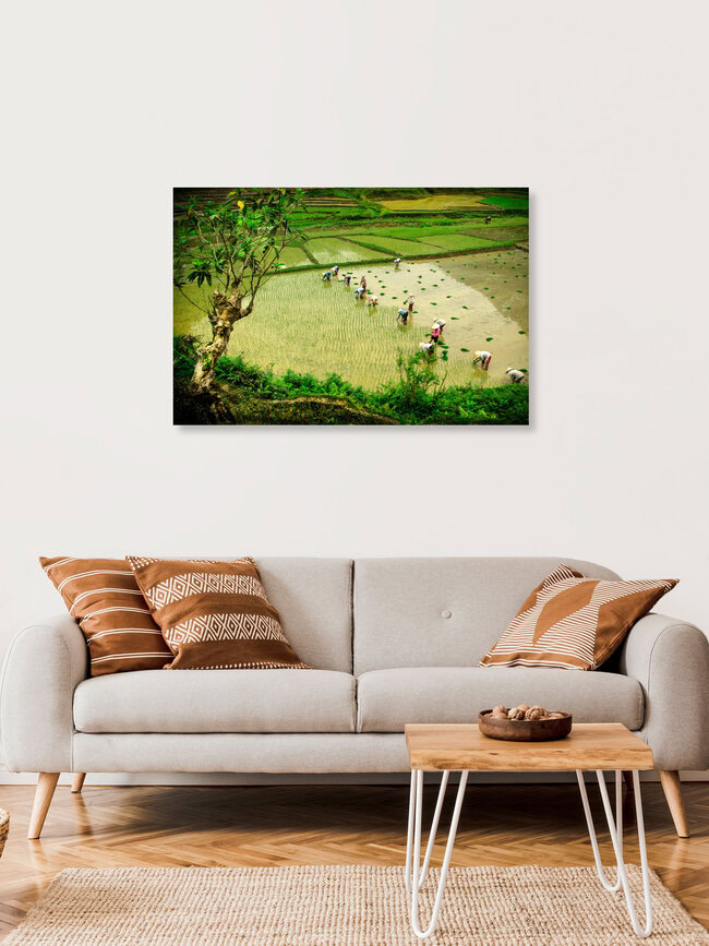 Feldarbeit, Vietnam – Fotokunst von Thomas Junklewitz als Poster oder Acrylglasbild