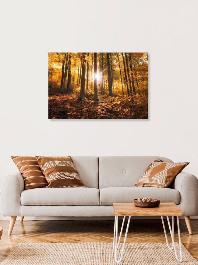 Goldener Herbst im Wald, Deutschland – Fotokunst von Oliver Henze als Poster oder Acrylglasbild