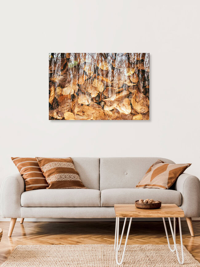 Leuchtende Herbstfarben im Teutoburger Wald, Deutschland – Fotokunst von Nadja Jacke als Poster oder Acrylglasbild