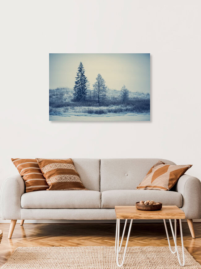 Trees in the snow, Germany – wall art by Franz Sussbauer as Poster or Acrylic Glass Print