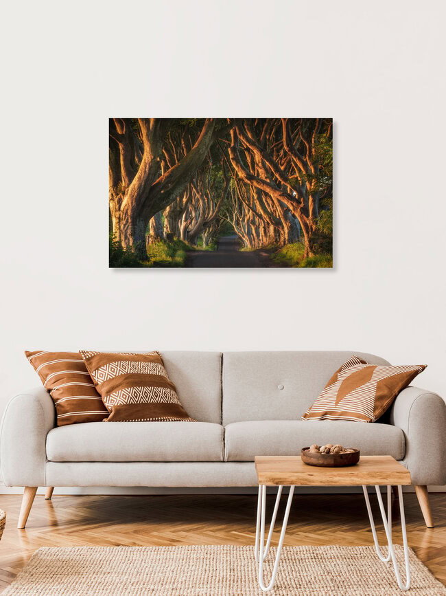 Ireland Dark Hedges, Ireland – wall art by Jean Claude Castor as Poster or Acrylic Glass Print