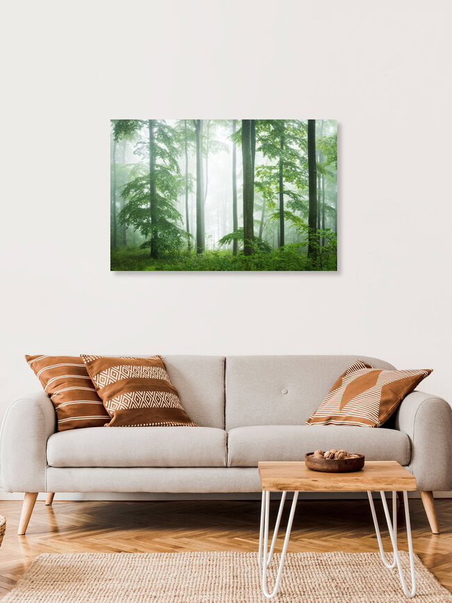 Wald VII, Deutschland – Fotokunst von Heiko Gerlicher als Poster oder Acrylglasbild