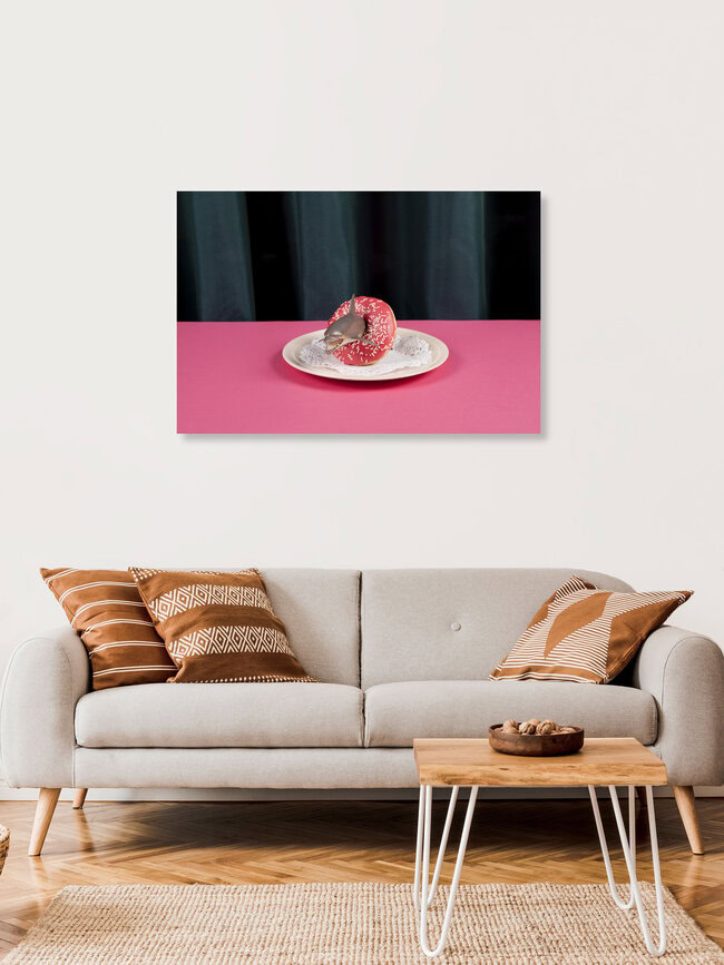 Free Dolphin, Belgien – Fotokunst von Loulou von Glup als Poster oder Acrylglasbild