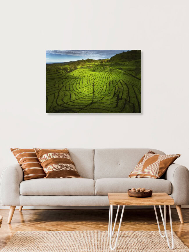 Indonesische Teeplantage auf Java, Indonesien – Fotokunst von Jean Claude Castor als Poster oder Acrylglasbild