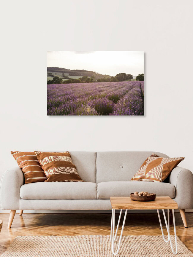 blühendes Lanvendelfeld in Ostwestfalen, Deutschland – Fotokunst von Nadja Jacke als Poster oder Acrylglasbild
