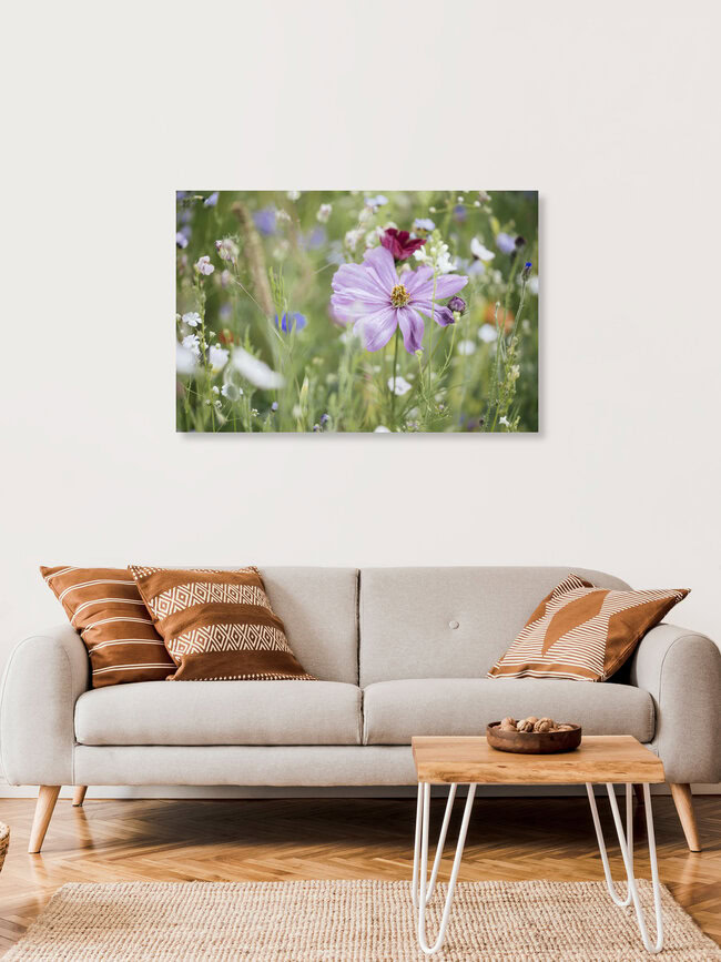 Sommerblumenwiese mit Wildblumen, Deutschland – Fotokunst von Nadja Jacke als Poster oder Acrylglasbild