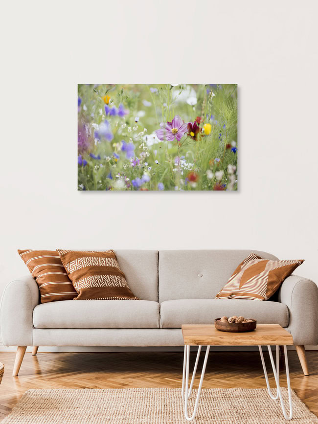Sommerblumenwiese mit Wildblumen, Deutschland – Fotokunst von Nadja Jacke als Poster oder Acrylglasbild