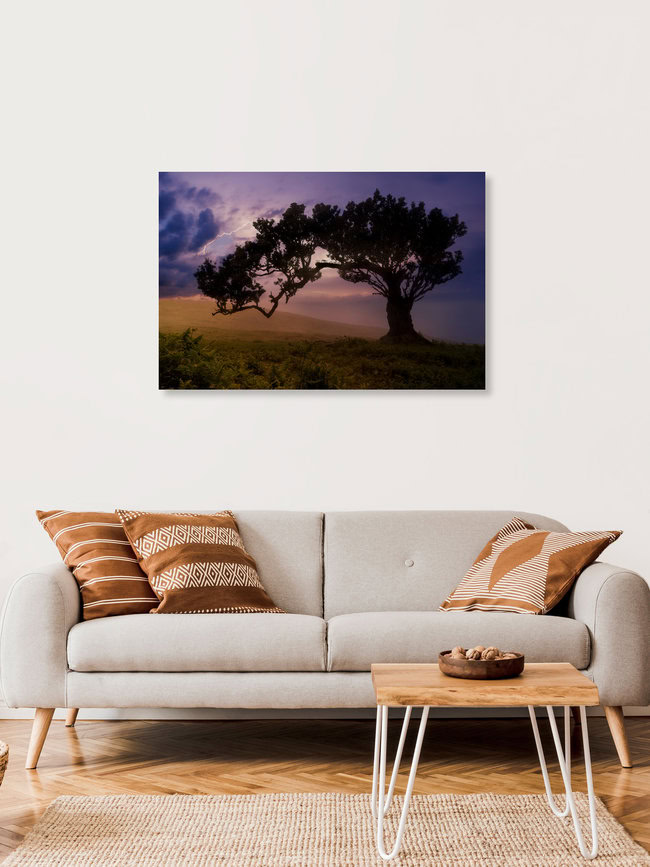 W I N D F L Ü C H T E R, Portugal – Fotokunst von Thomas Herzog als Poster oder Acrylglasbild