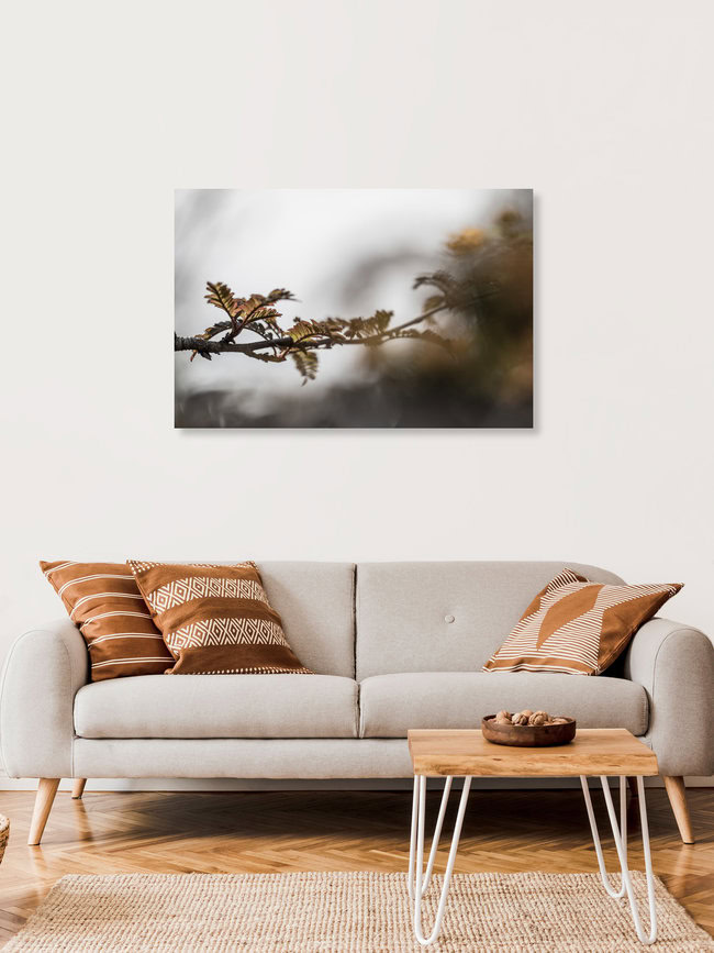 Mountain ash II, Norwegen – Fotokunst von Sebastian Worm als Poster oder Acrylglasbild